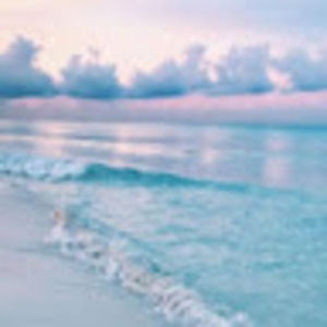 Meet your Posher, Lenora sawyer